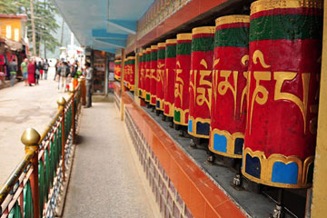 Dalhousie Dharamshala Manali Shimla Tour